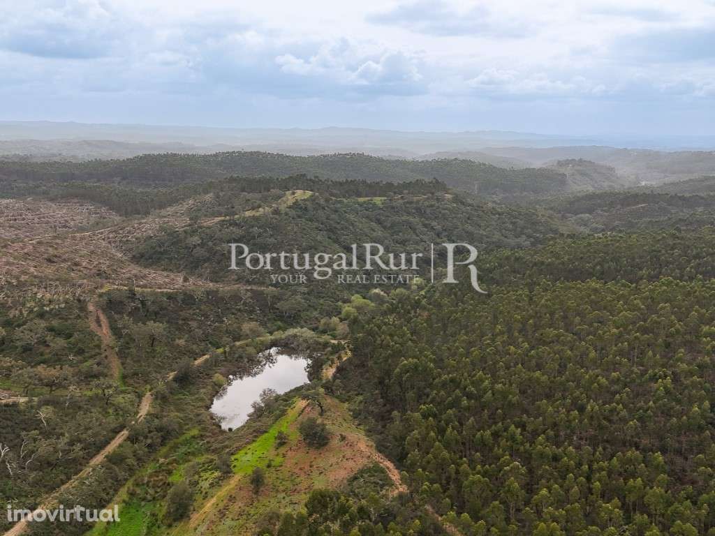 Herdade com 154 hectares em Odemira - Grande imagem: 5/44