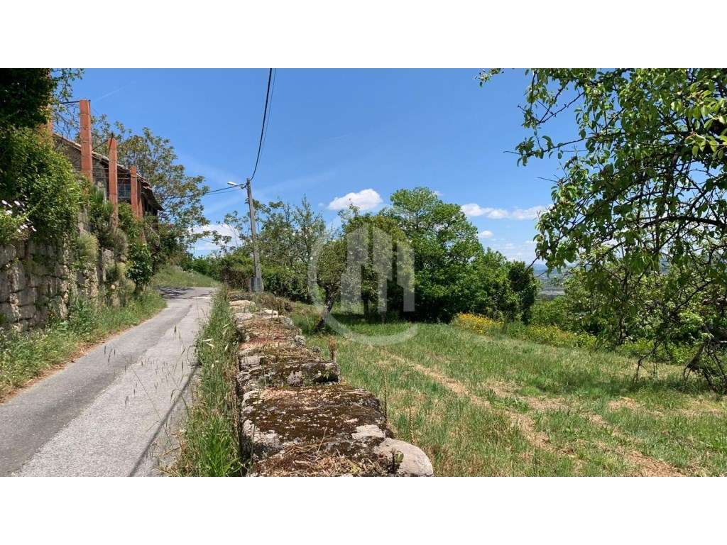 Terreno Urbano de 10.546 m² para Construção Junto à Via Pública - Q... - Grande imagem: 5/5
