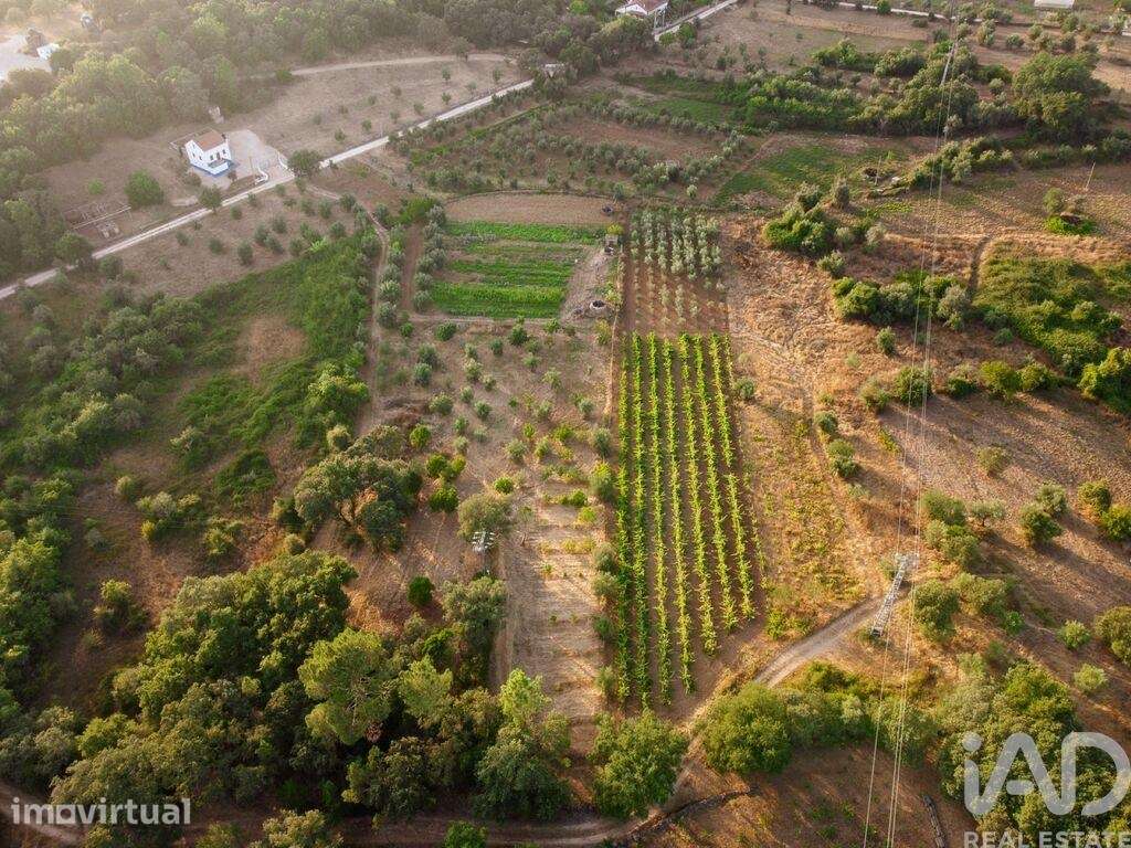 Terreno em Areias e Pias de 3000,00 m2 - Grande imagem: 2/30