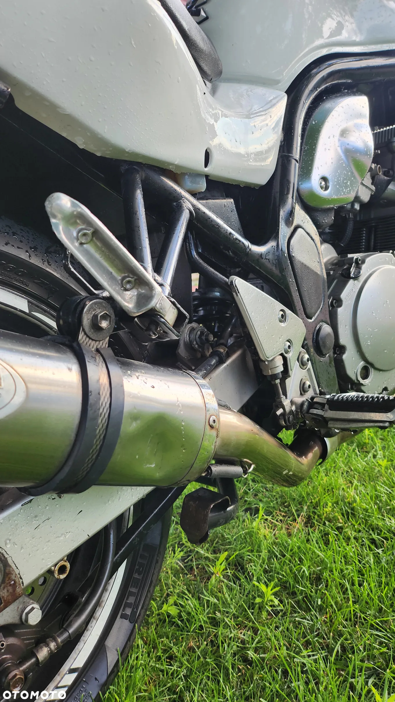 Suzuki Bandit - 19