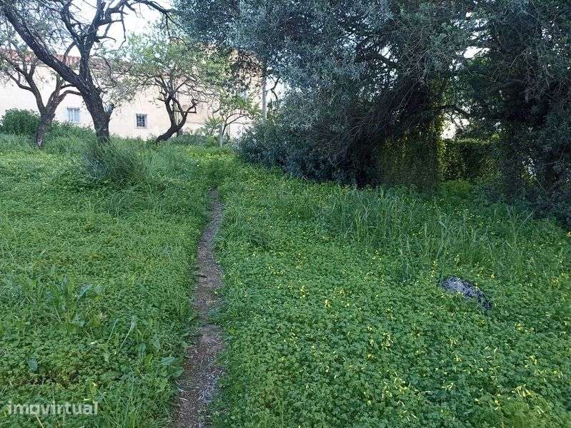 Lote de 520m em zona de construção - Grande imagem: 4/11
