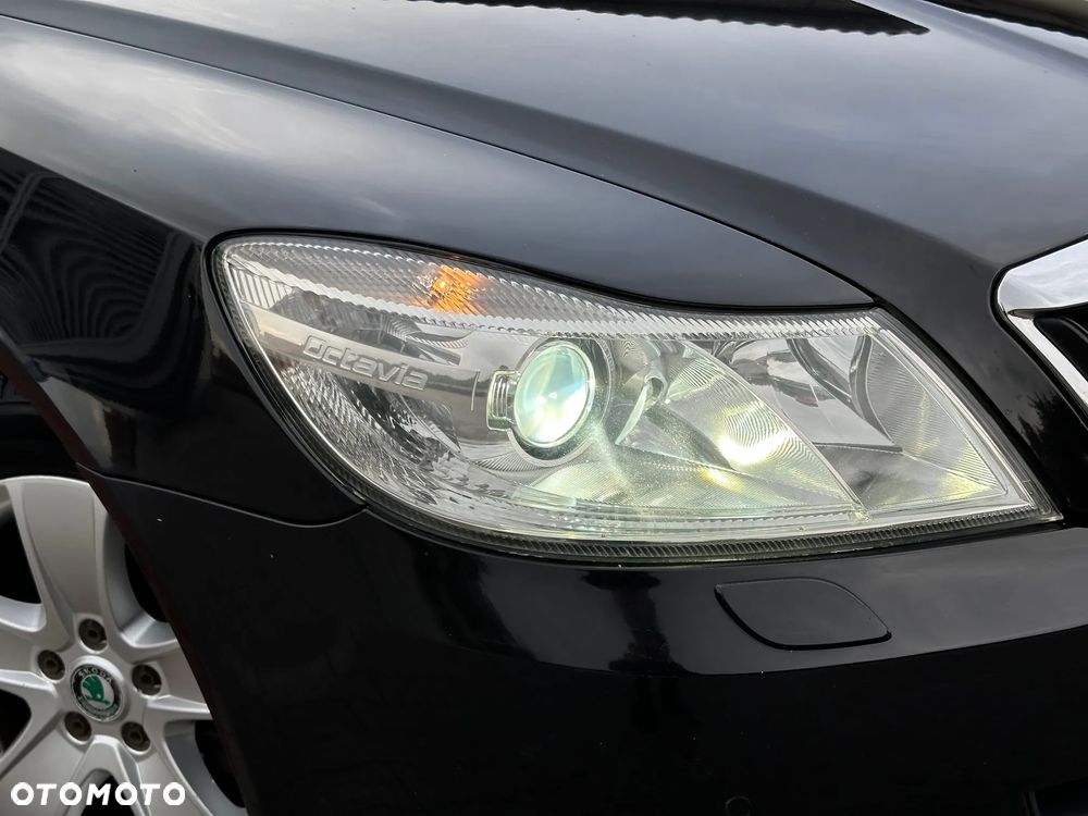 Skoda Octavia - 4