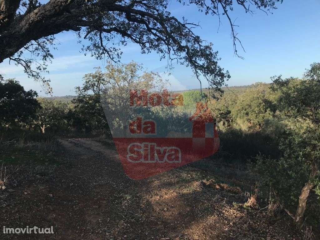Magnífico Terreno em São Francisco da Serra - Grande imagem: 3/8