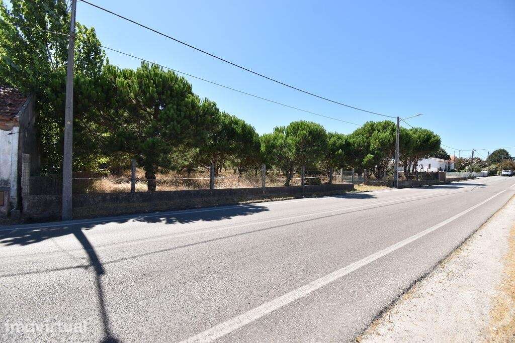 Terreno para construção em Marinha Grande - Grande imagem: 4/5
