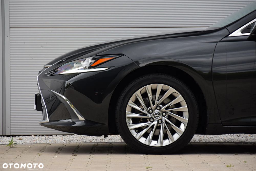 Lexus ES 300h Omotenashi - 18