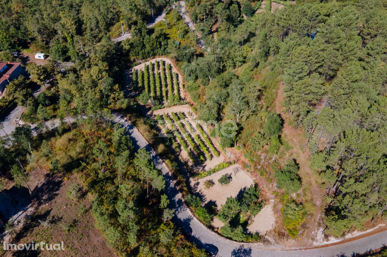 Terreno Rústico em Gatão, Amarante. - Grande imagem: 5/27