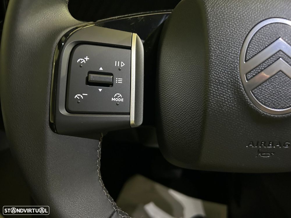 Citroën e-C3 44 kWh You Pack Plus - 29
