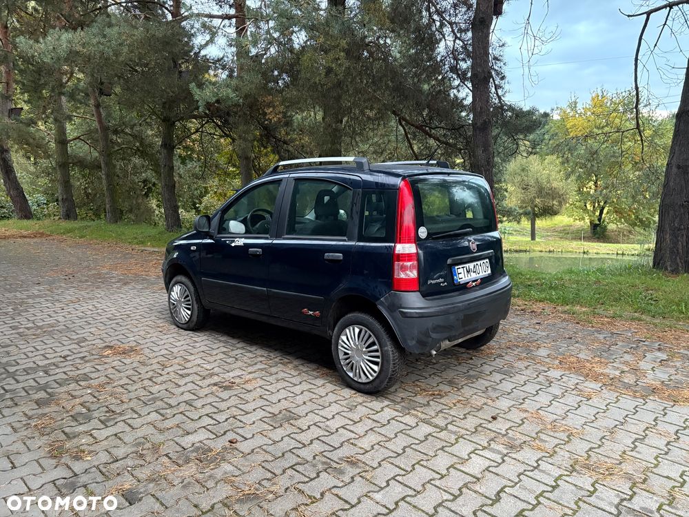 Fiat Panda 1.2 Dynamic Eco - 5