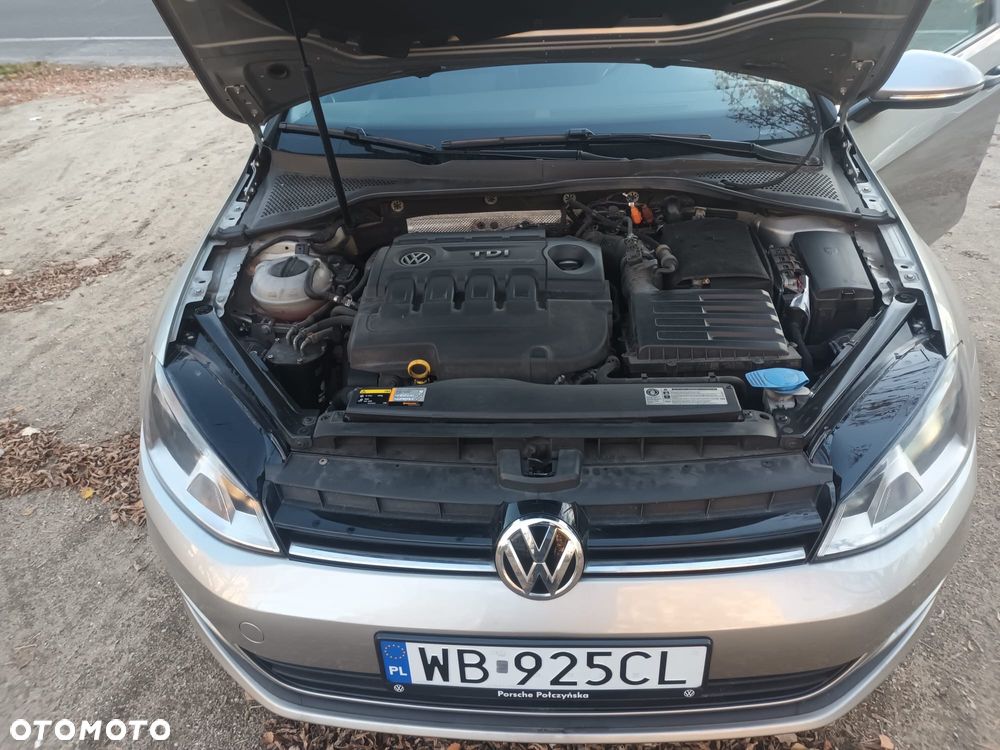 Volkswagen Golf - 11