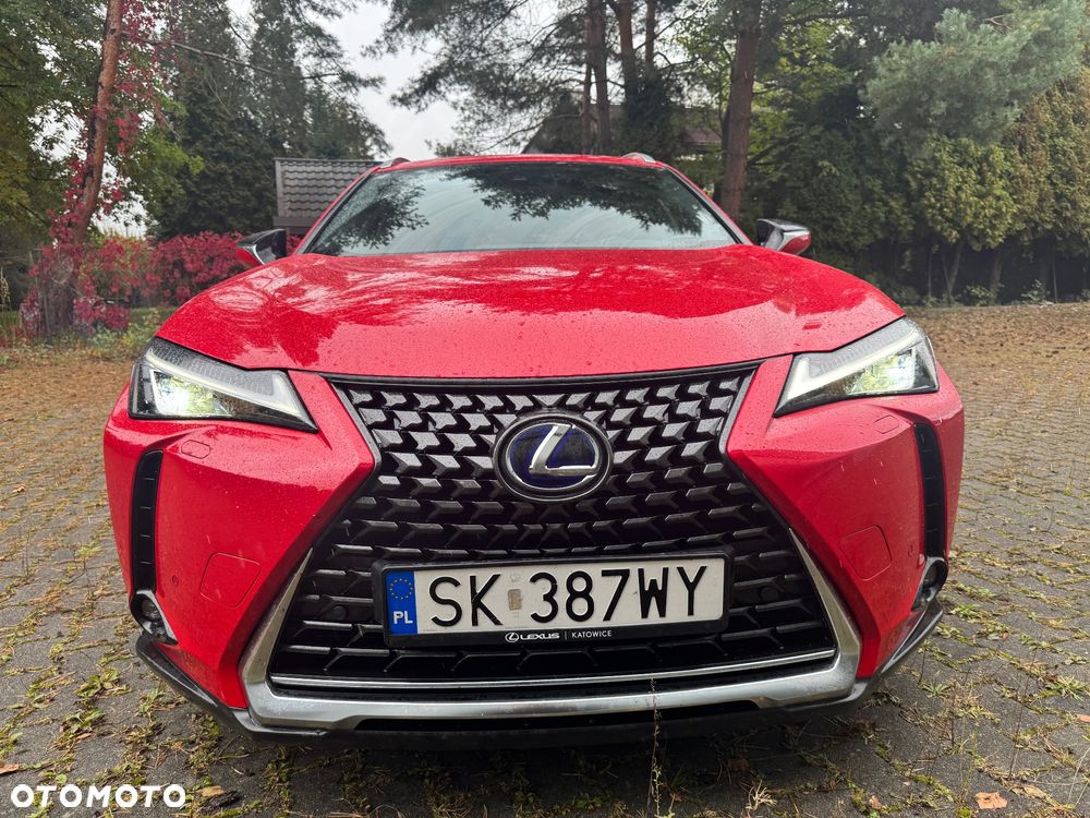 Lexus UX 250h GPF Business Edition 2WD - 38