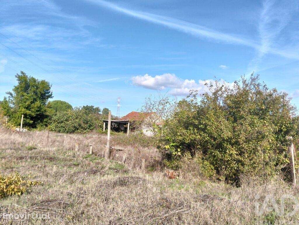 Casa de Campo T2 em Nossa Senhora de Fátima de 52 m2 - Grande imagem: 3/24