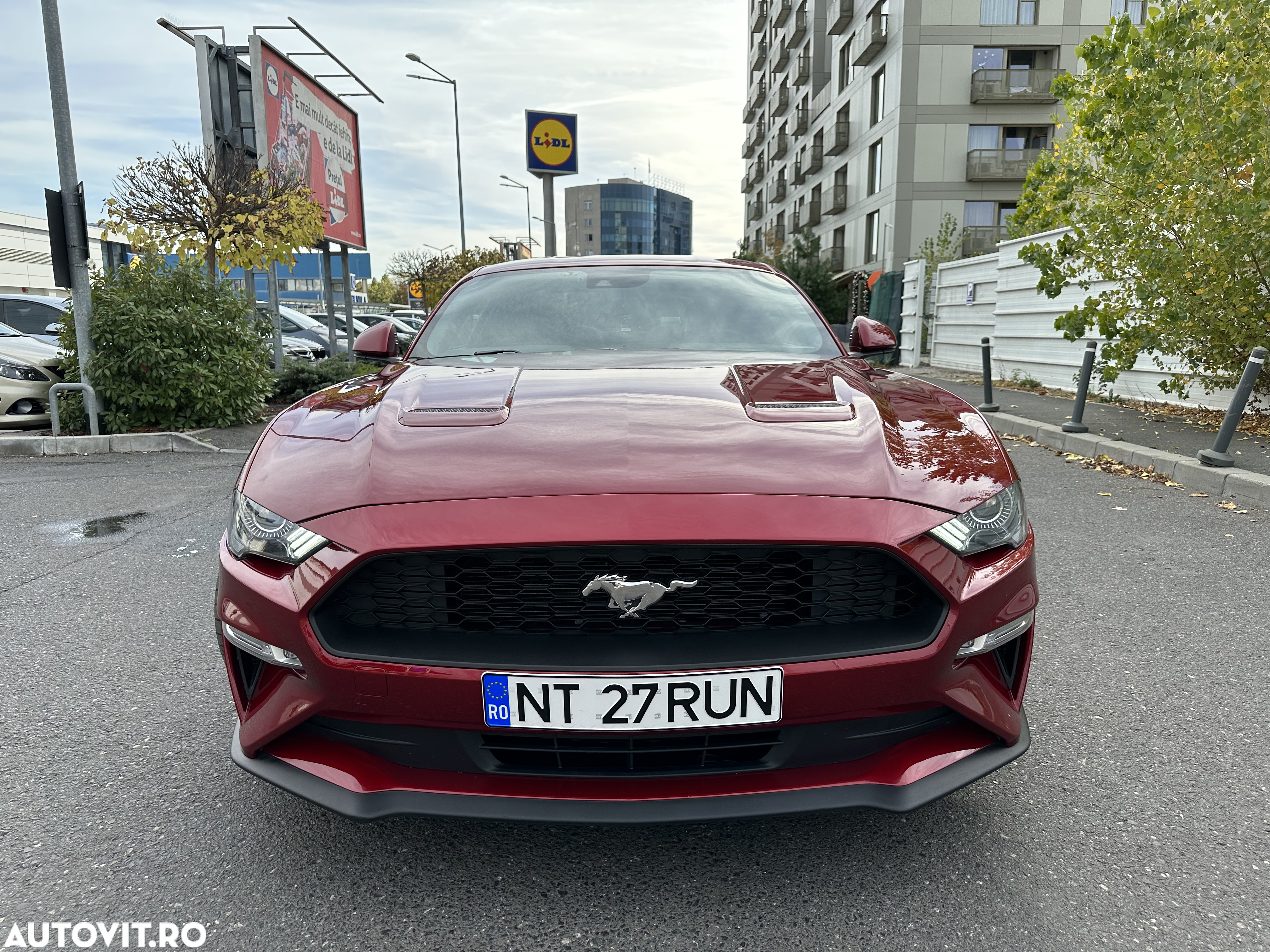 Ford Mustang - 7