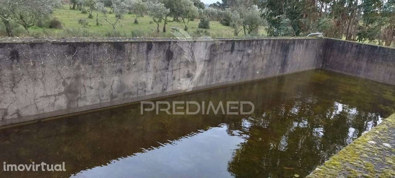 Terreno Rústico - Grande imagem: 4/21