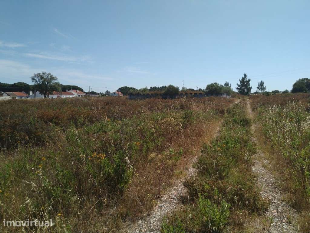Terreno Urbano com Ruína e Grande Potencial | Montijo | Pegões - Grande imagem: 2/25