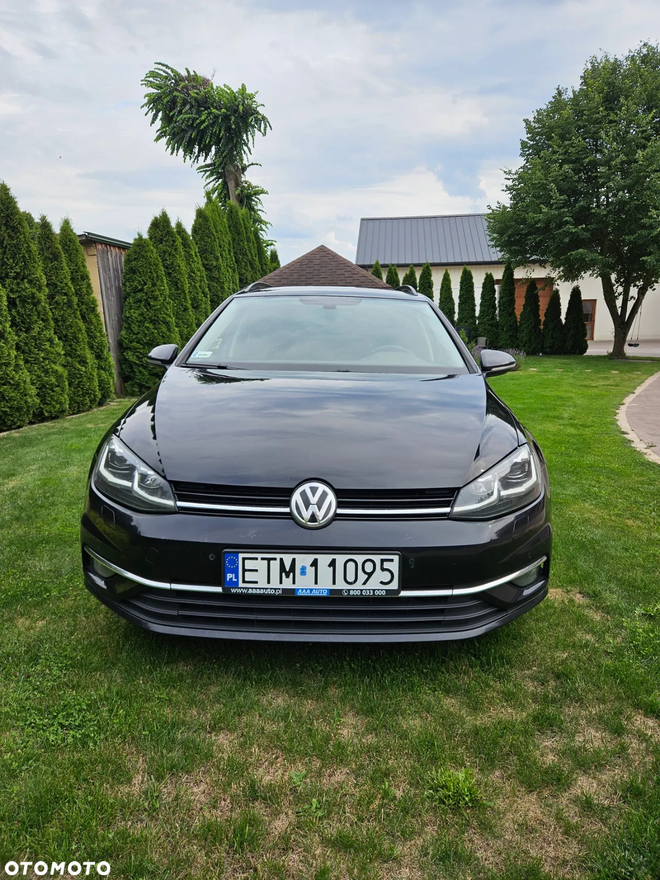 Volkswagen Golf - 3