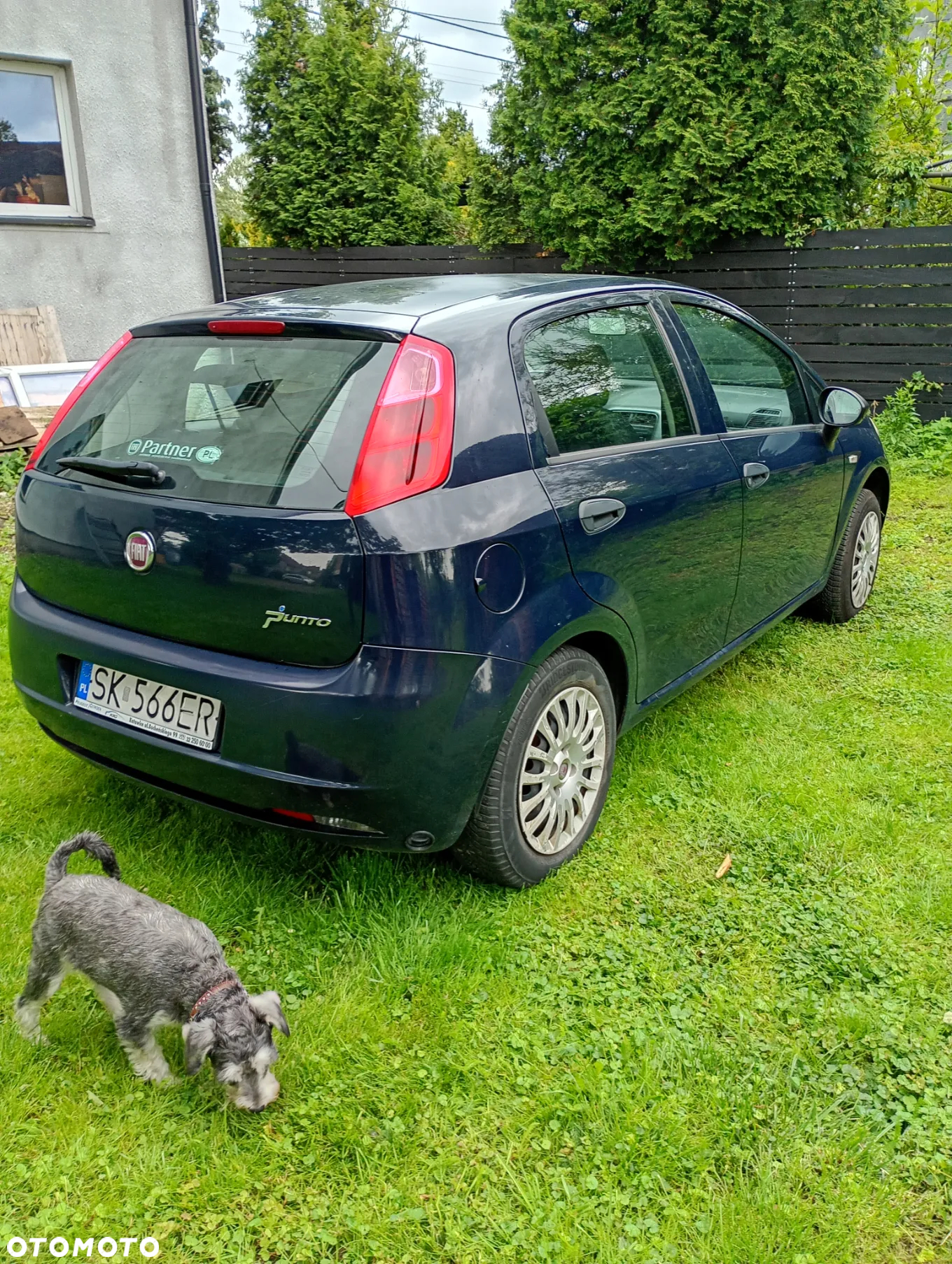 Fiat Grande Punto 1.2 8V Active - 5