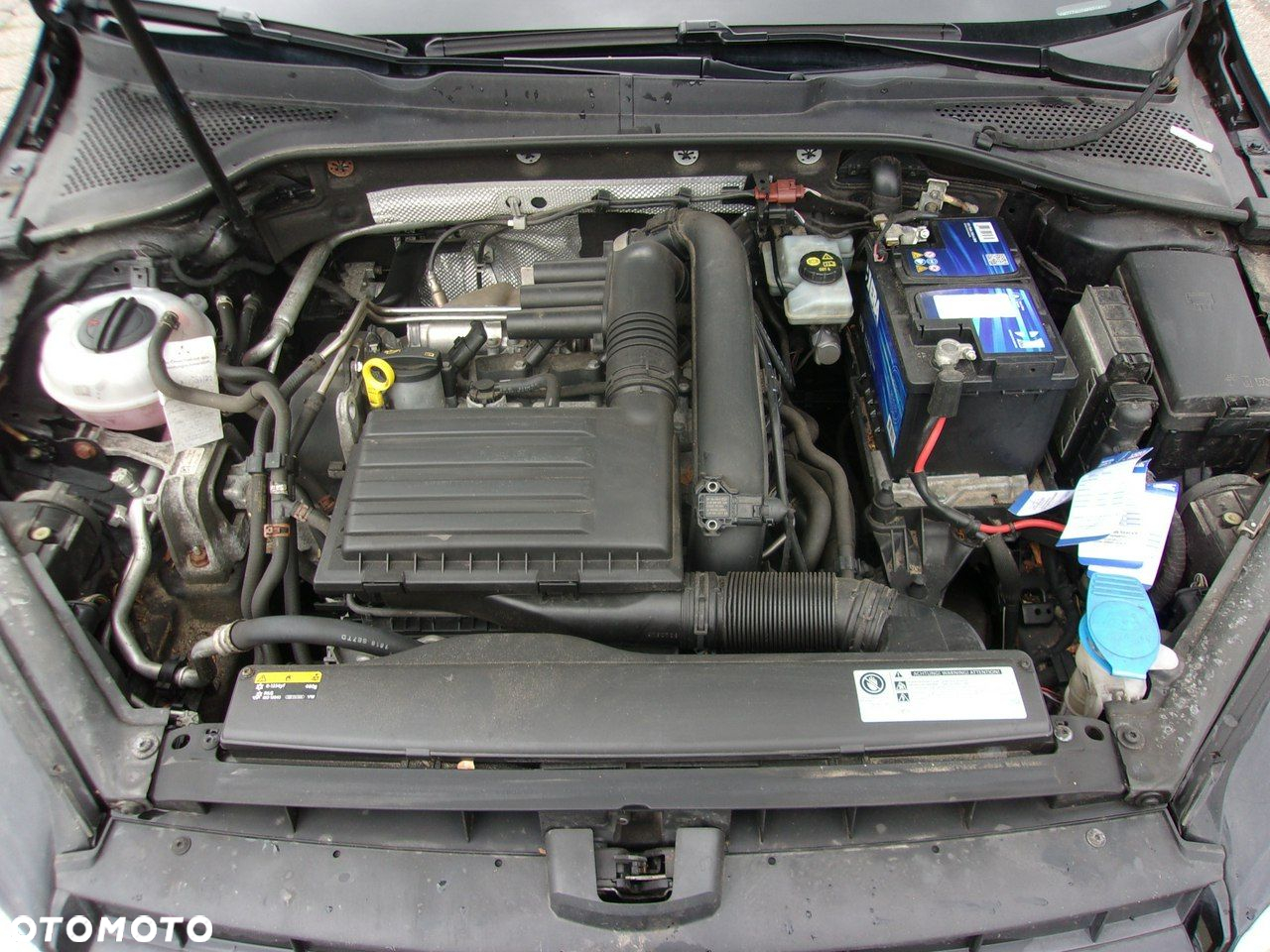 Volkswagen Golf 1.4 TSI BlueMotion Technology Allstar - 31