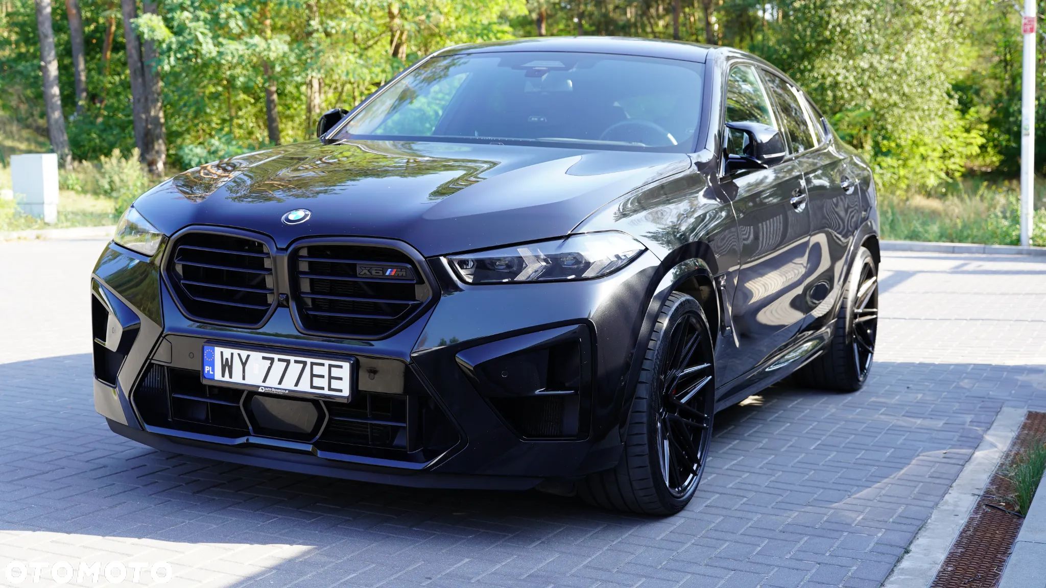 BMW X6M - 1