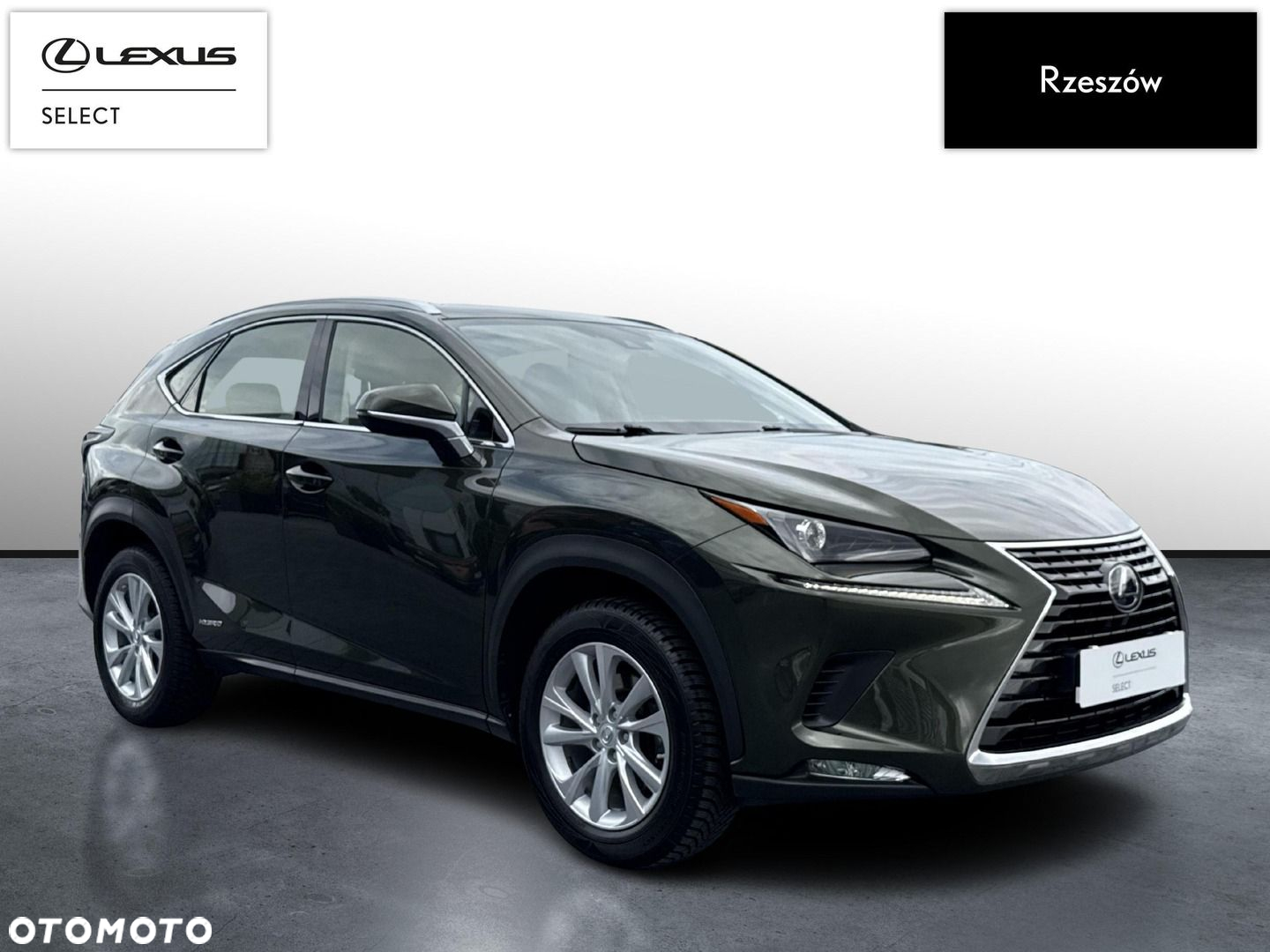 Lexus NX - 7