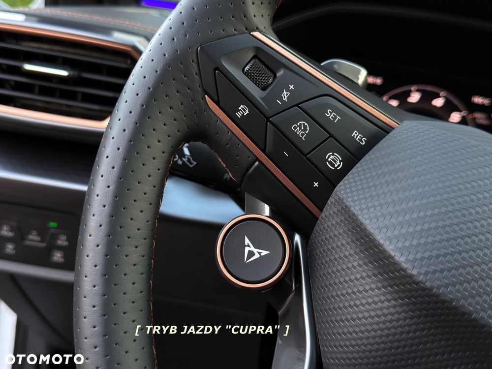 Cupra Formentor 2.0 TSI 4Drive DSG VZ - 19