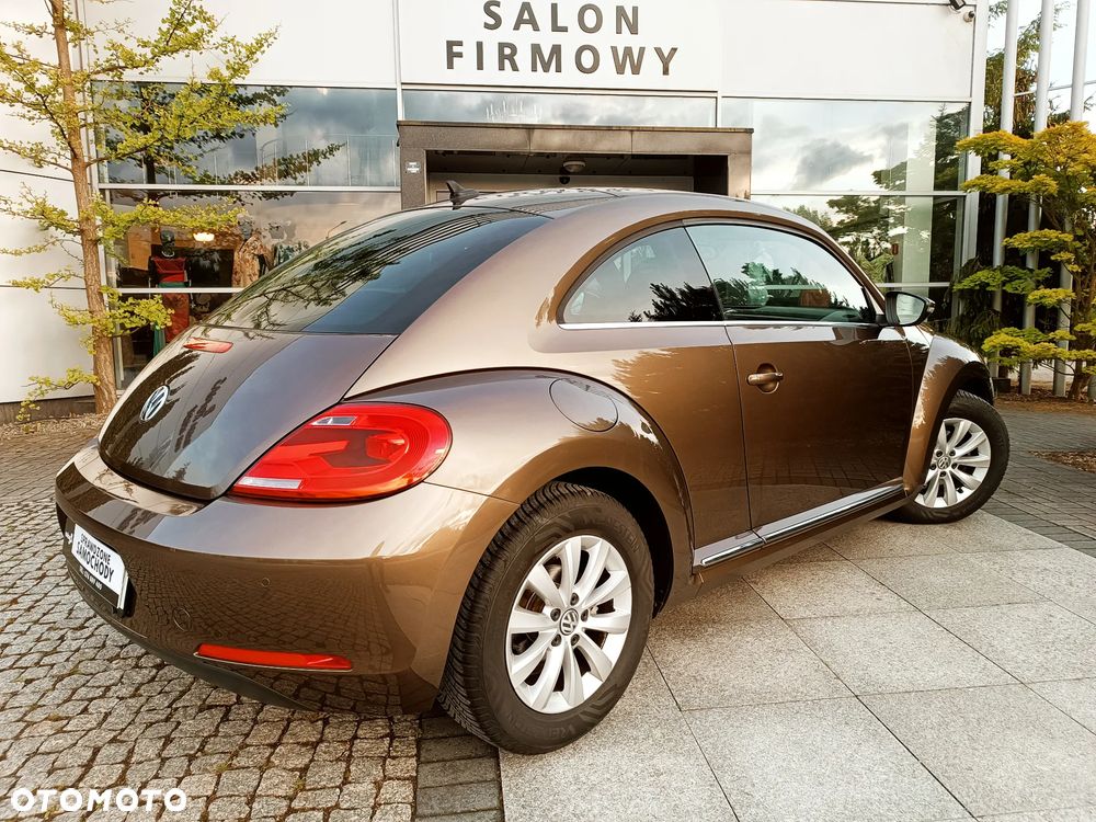 Volkswagen Beetle - 8