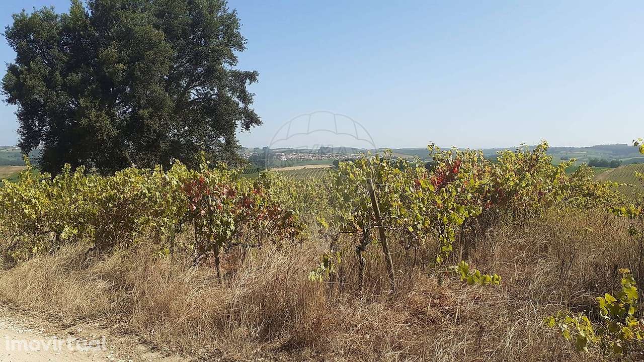 Terreno  para venda - Grande imagem: 5/7