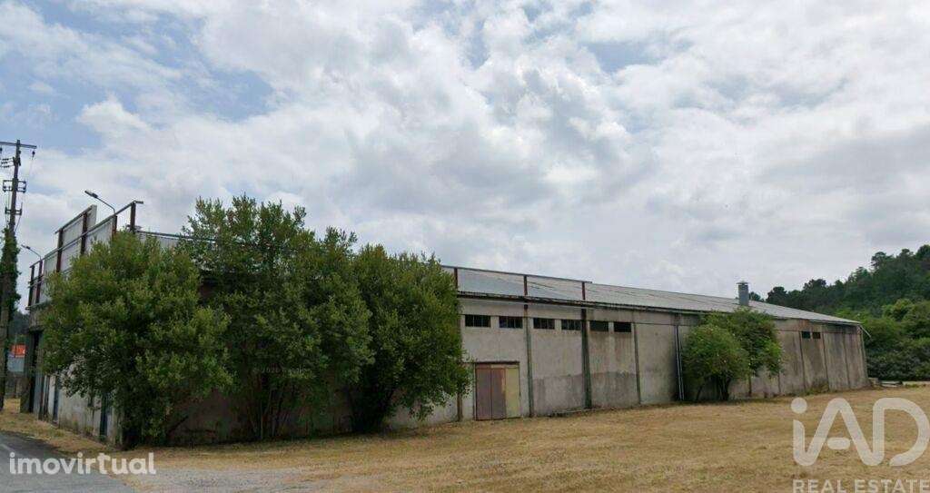 Hangar em Campo de Besteiros de 1664,00 m2 - Grande imagem: 2/7