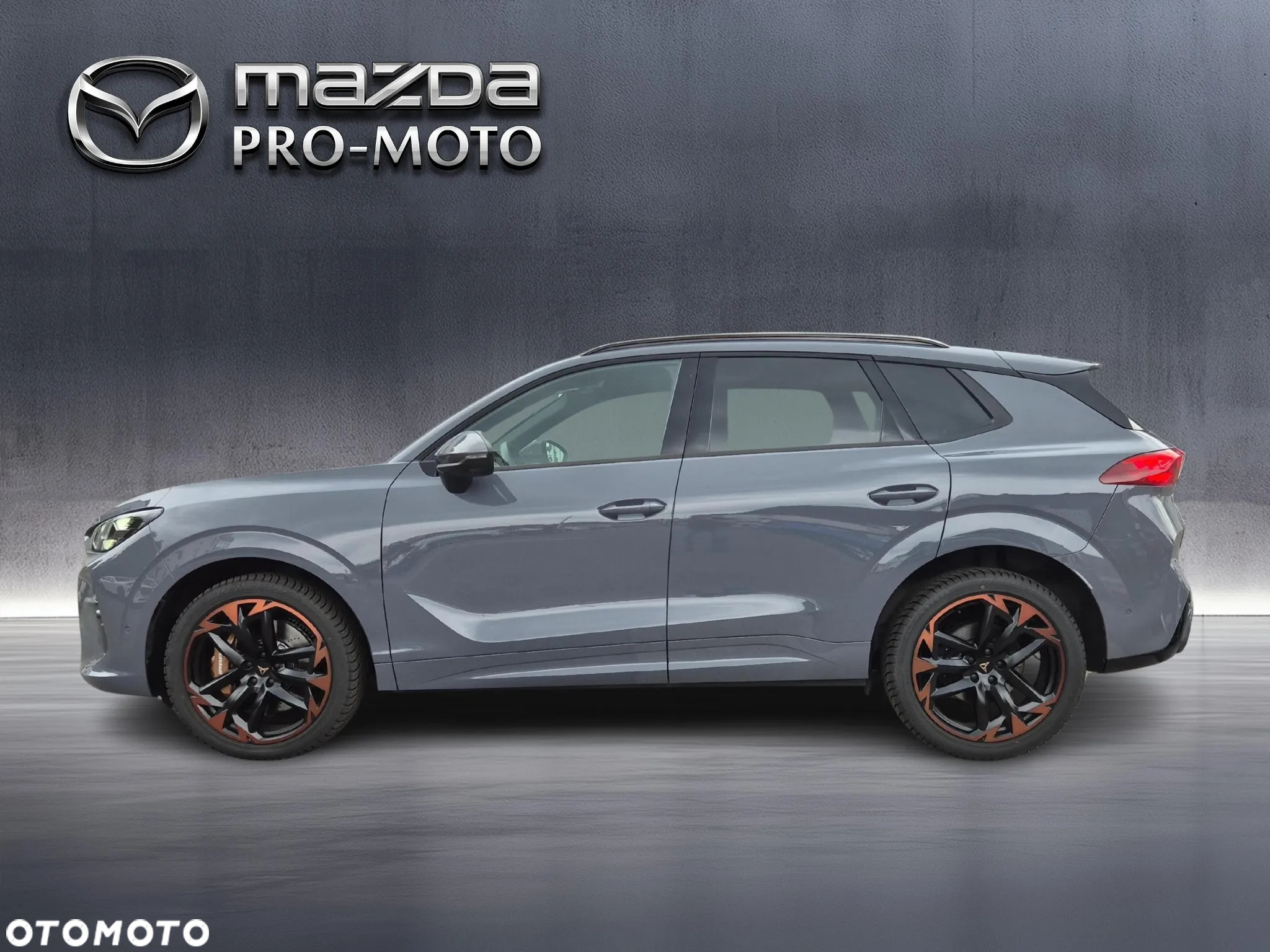 Cupra Terramar 2.0 TSI 4Drive VZ DSG - 2