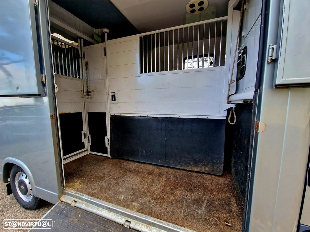 Renault MASTER - TRANSPORTE CAVALOS - 5