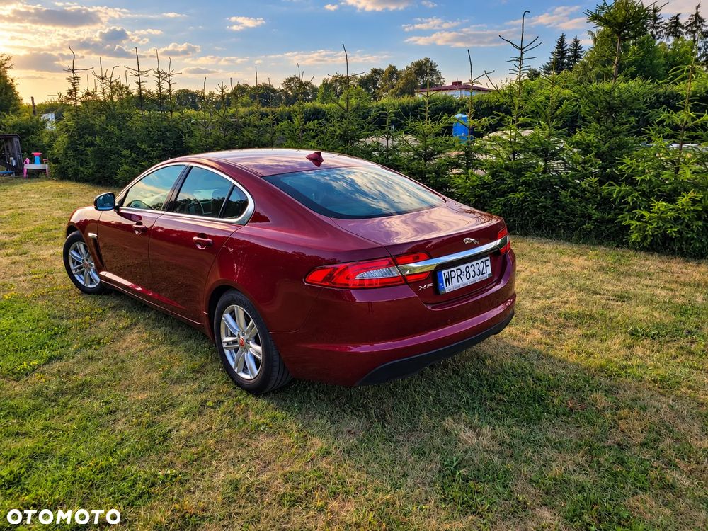 Jaguar XF 2.2 D Premium Luxury - 5