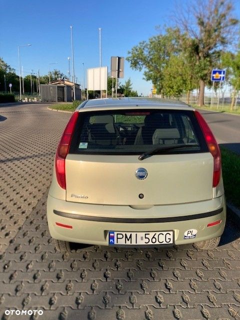 Fiat Punto 1.2 8V Active - 11