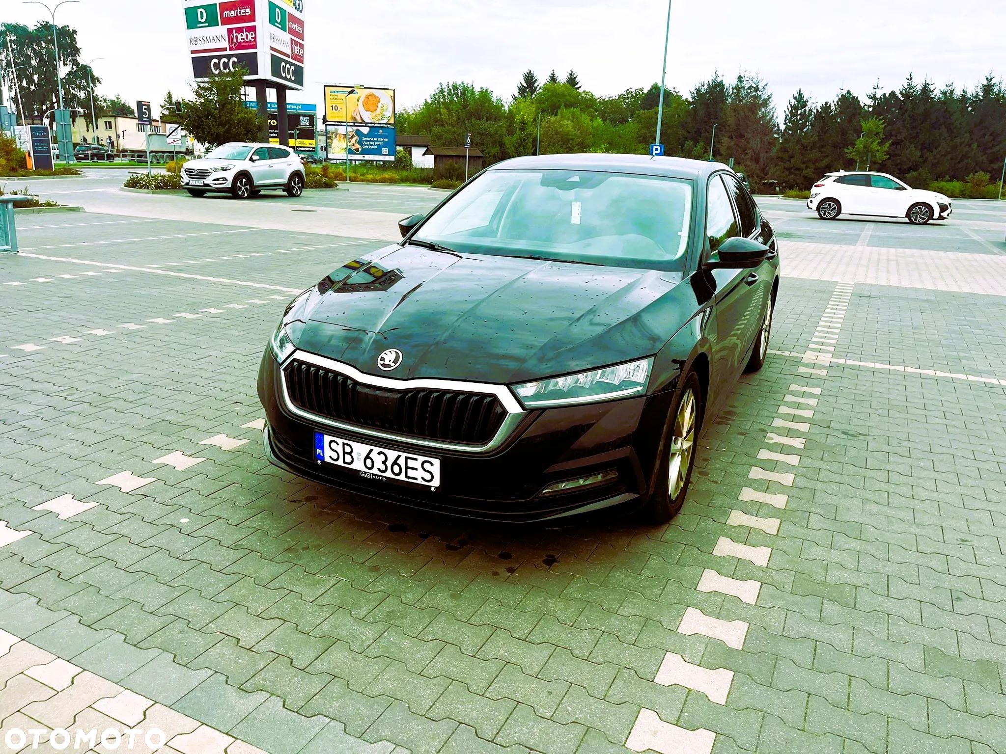 Skoda Octavia - 1