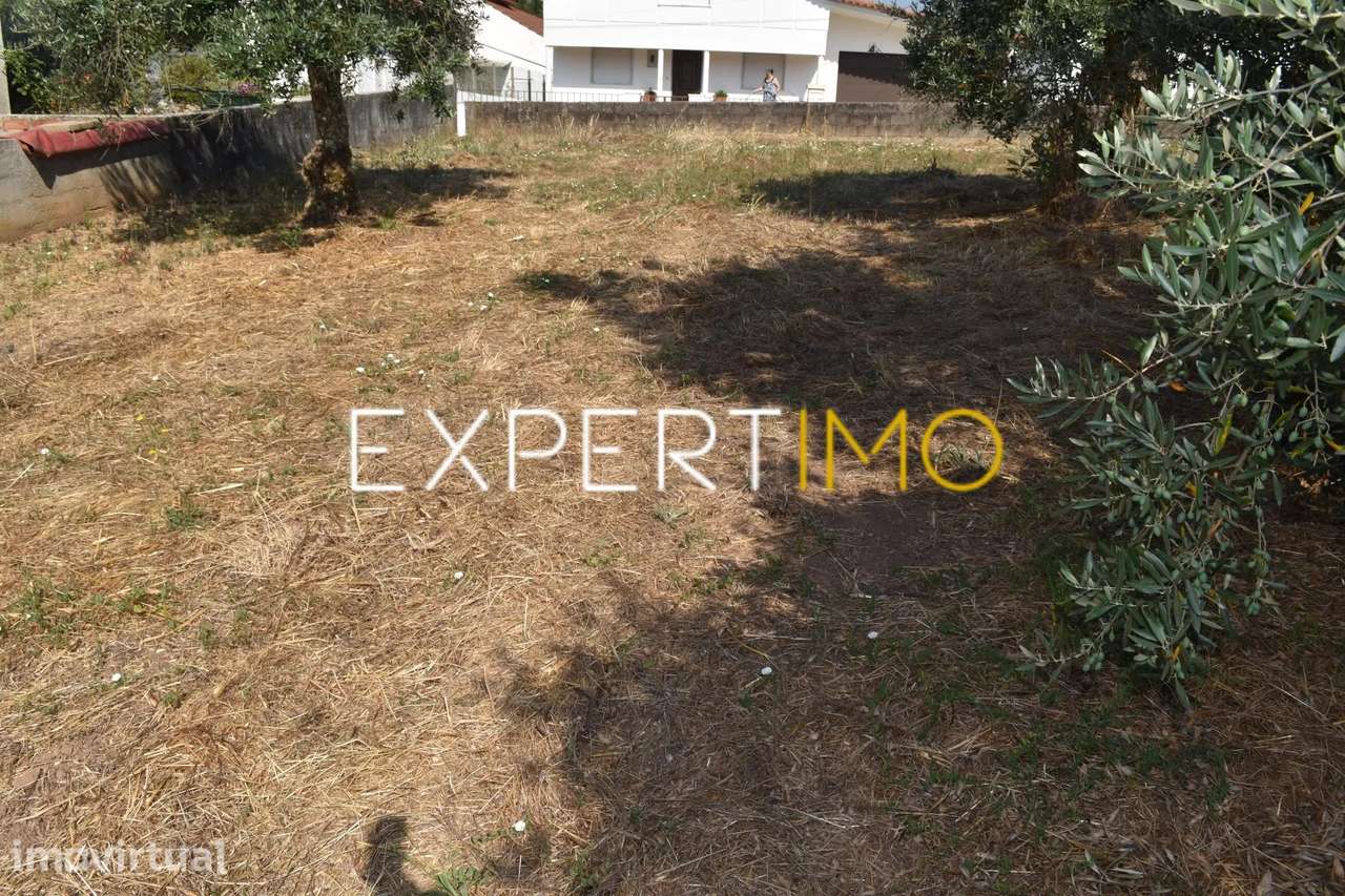 Terreno para Construção - Grande imagem: 4/20