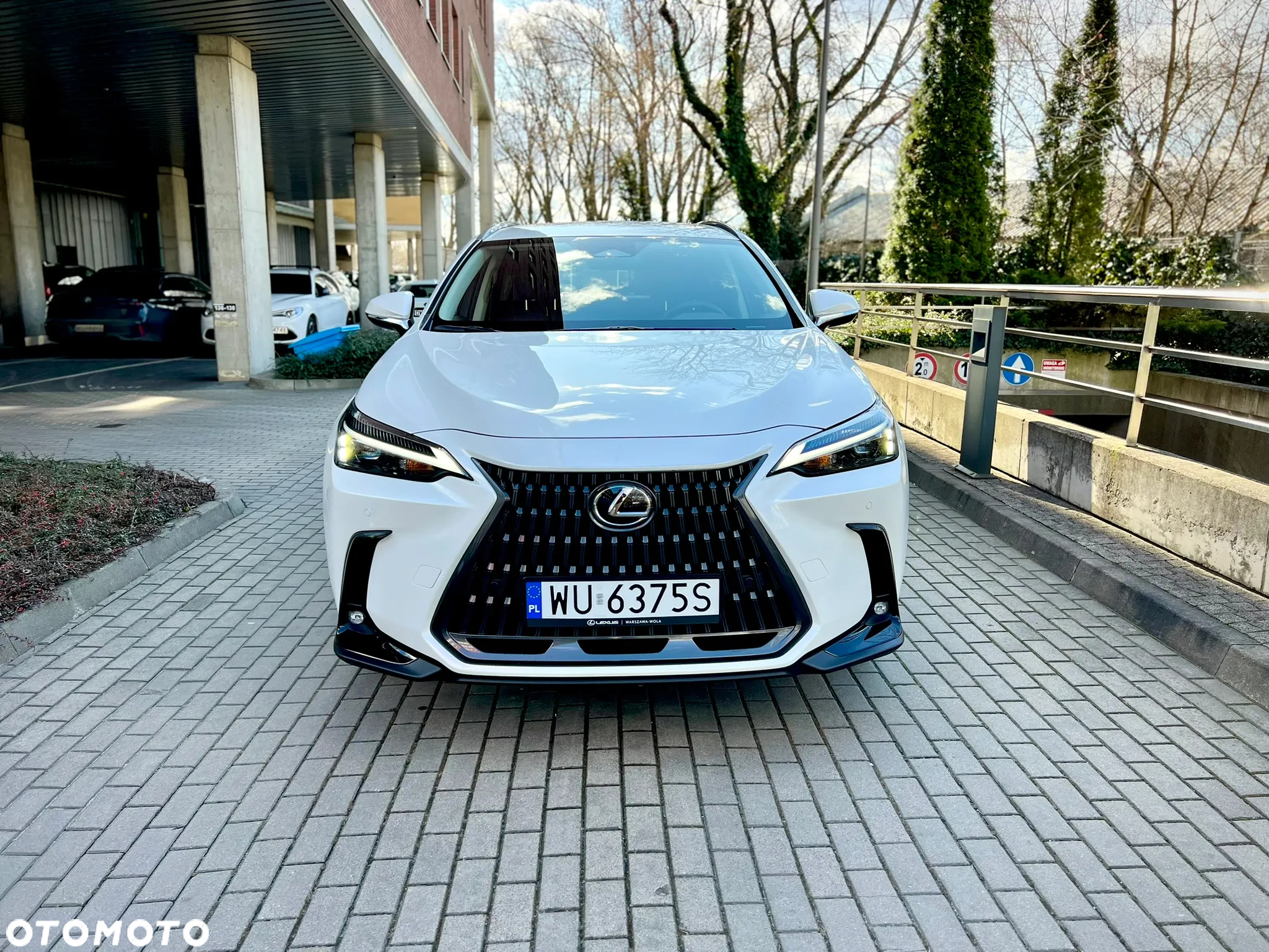 Lexus NX - 2