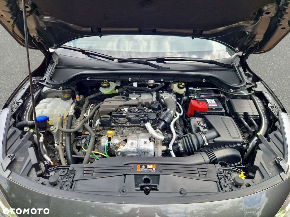 Ford Focus - 25