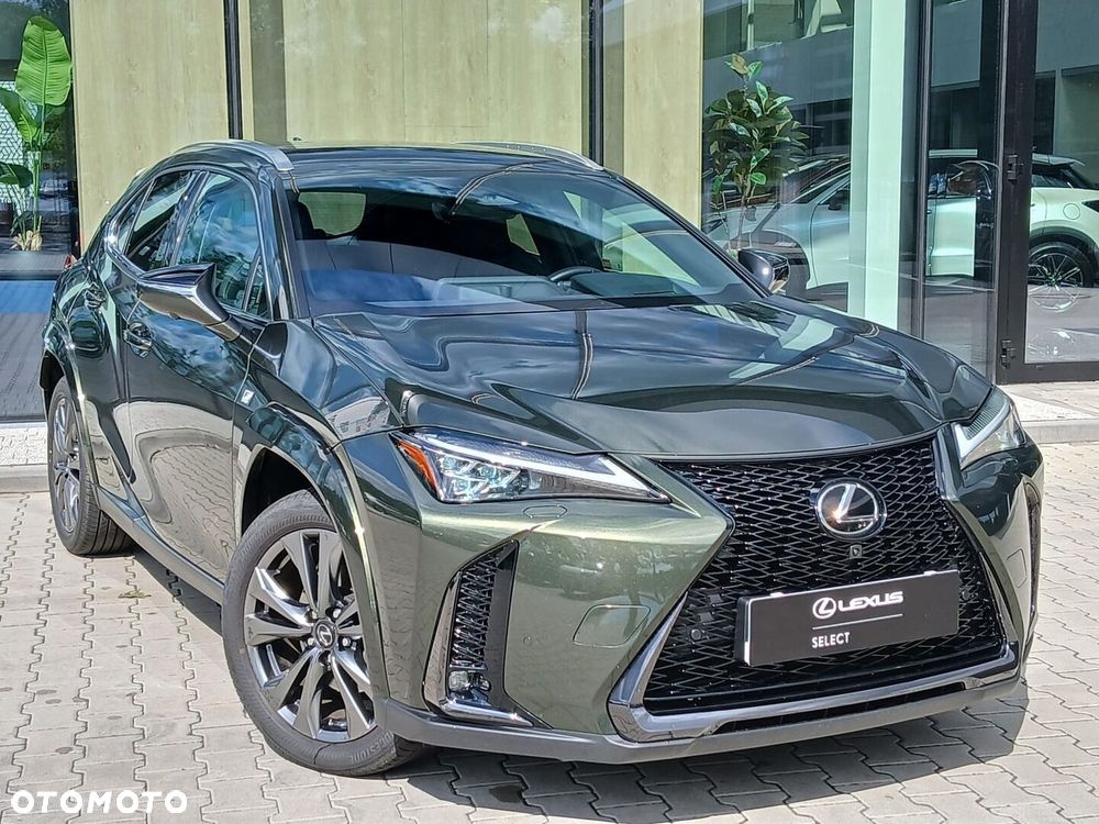 Lexus UX 300h F Sport AWD - 11