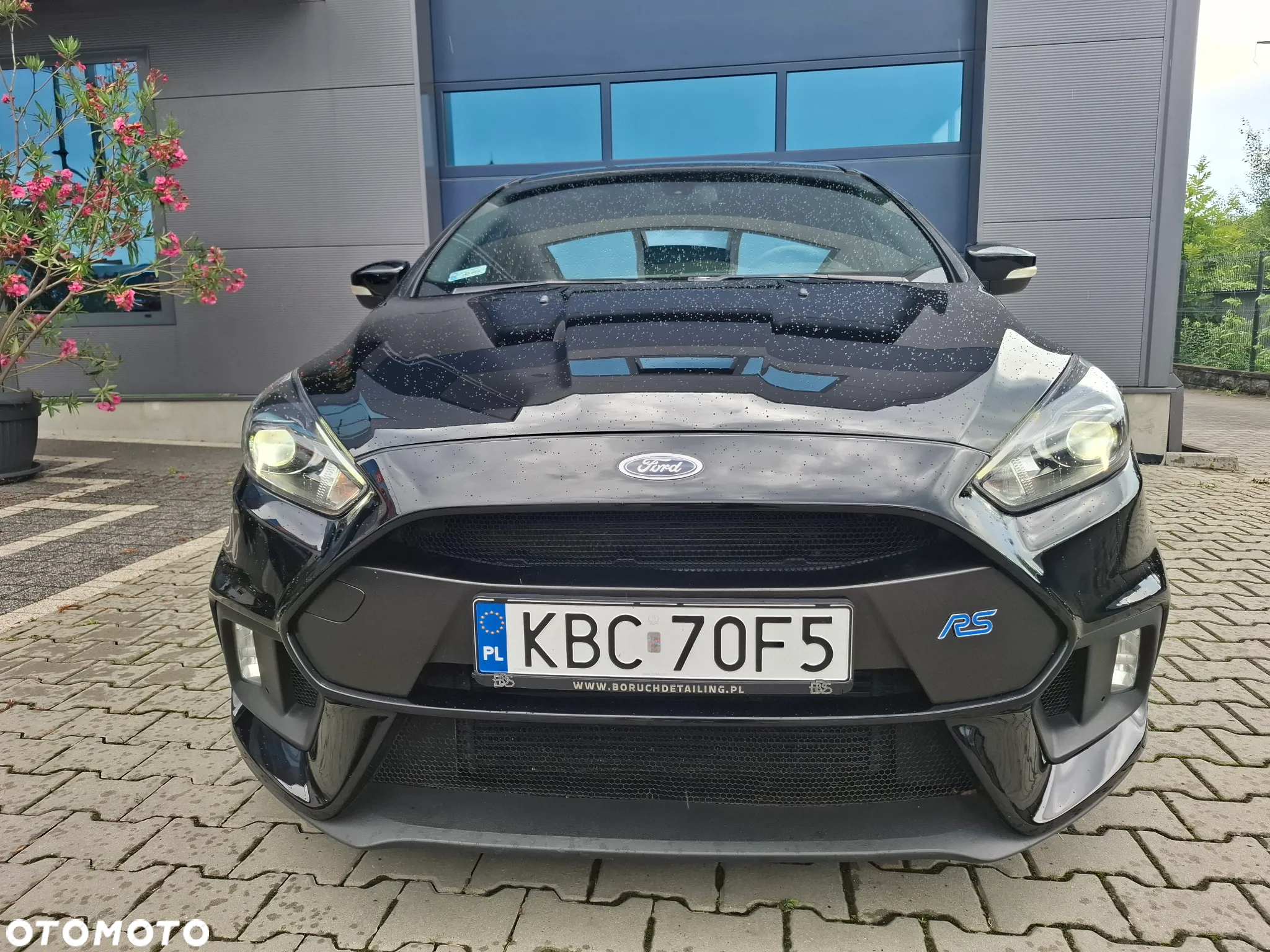 Ford Focus 2.3 EcoBoost S&S Allrad RS Blue & Black - 16