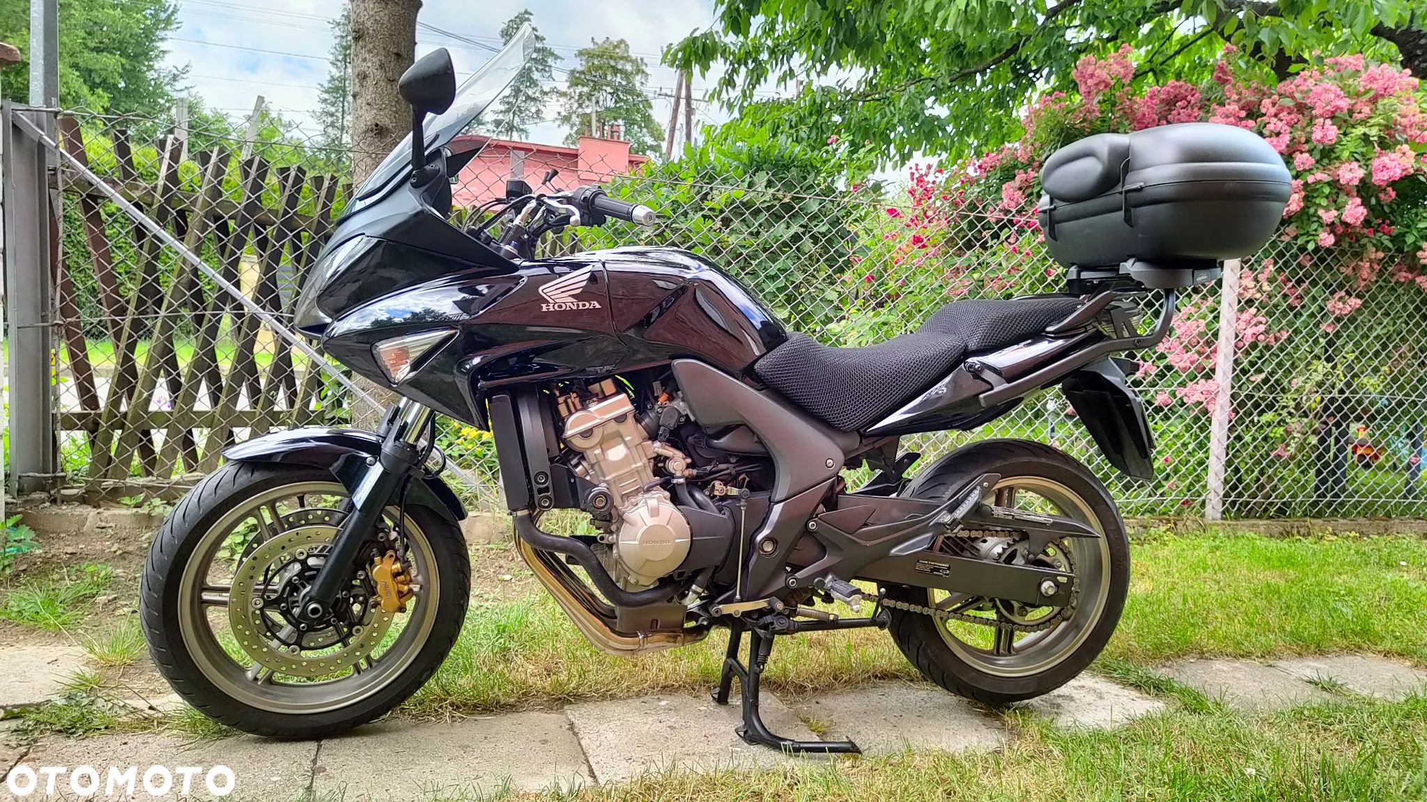 Honda CBF - 1