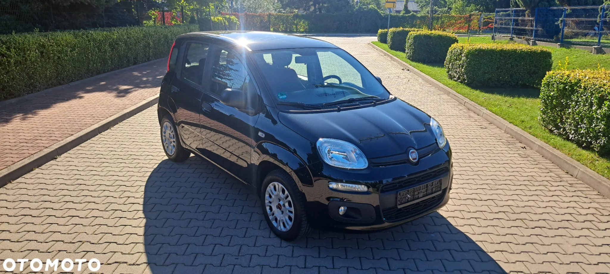 Fiat Panda - 2