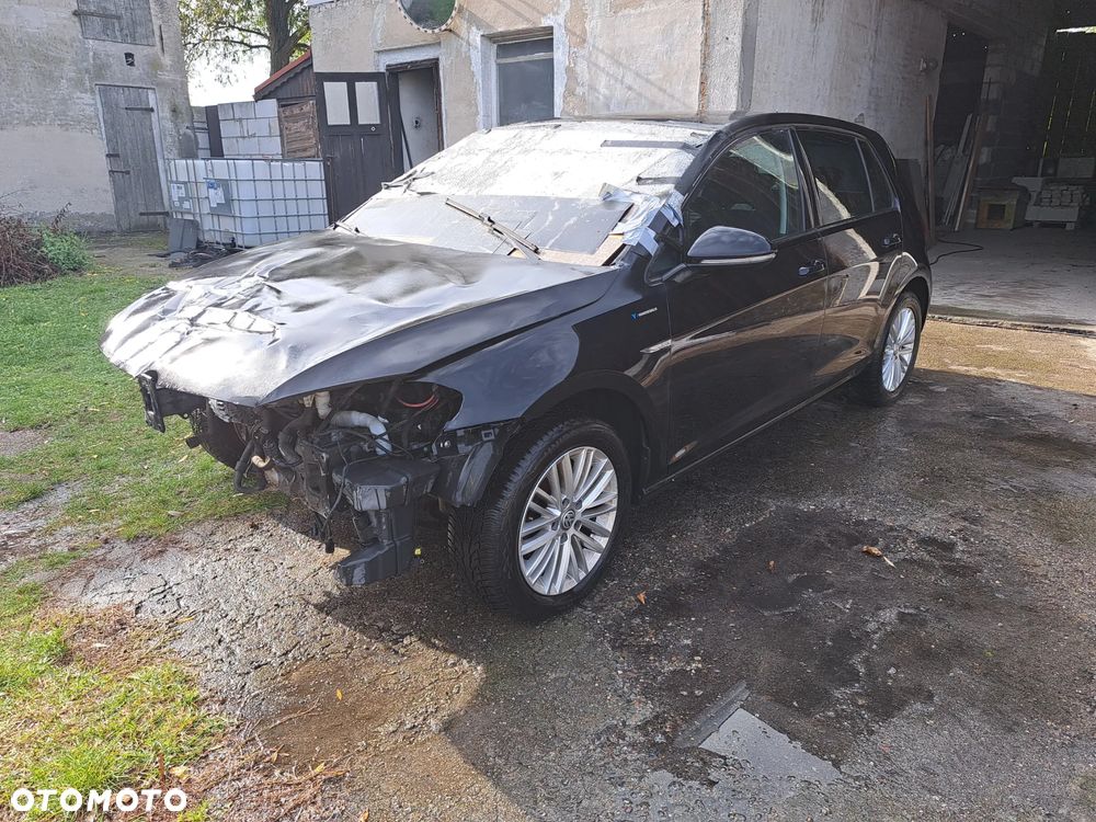 Volkswagen Golf - 6