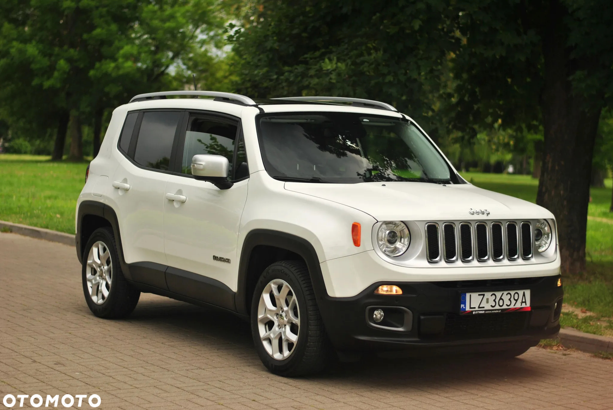 Jeep Renegade 1.4 MultiAir Limited FWD S&S - 12