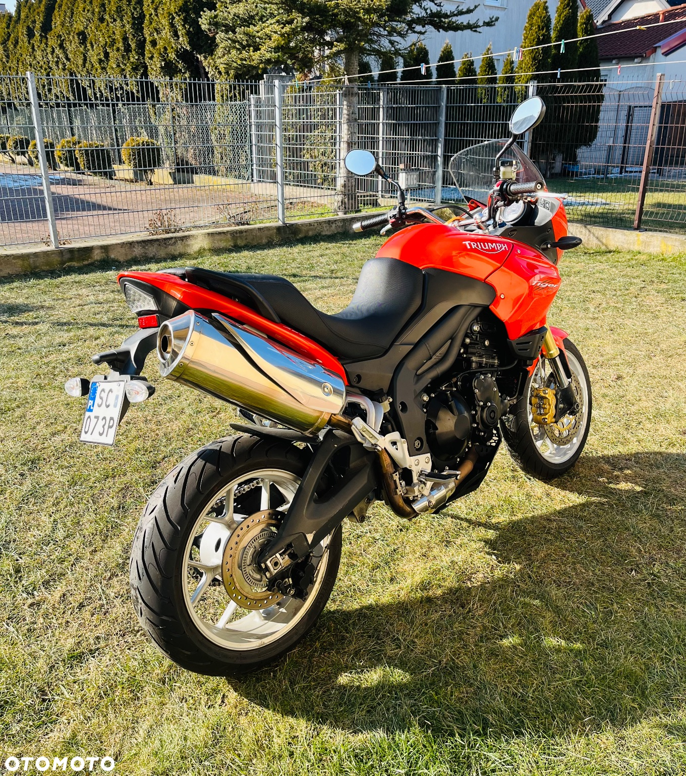 Triumph Tiger - 4