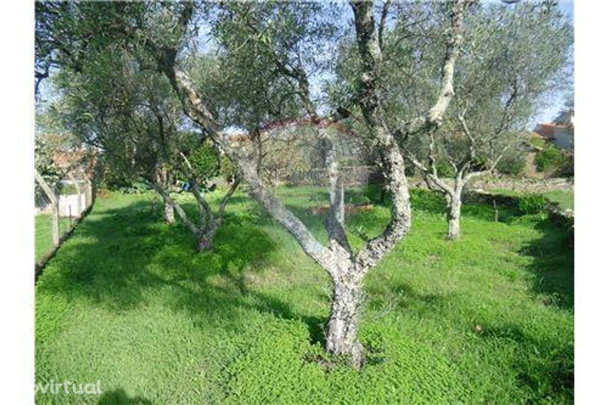 MORADIA P/ RECONSTRUÇÃO C/ QUINTAL (420m²) !! - Grande imagem: 5/40