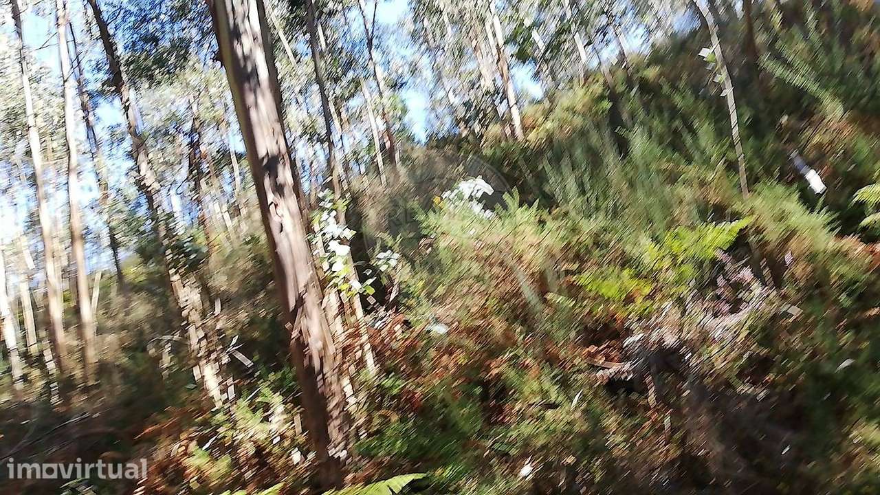 Terreno  para venda - Grande imagem: 4/4