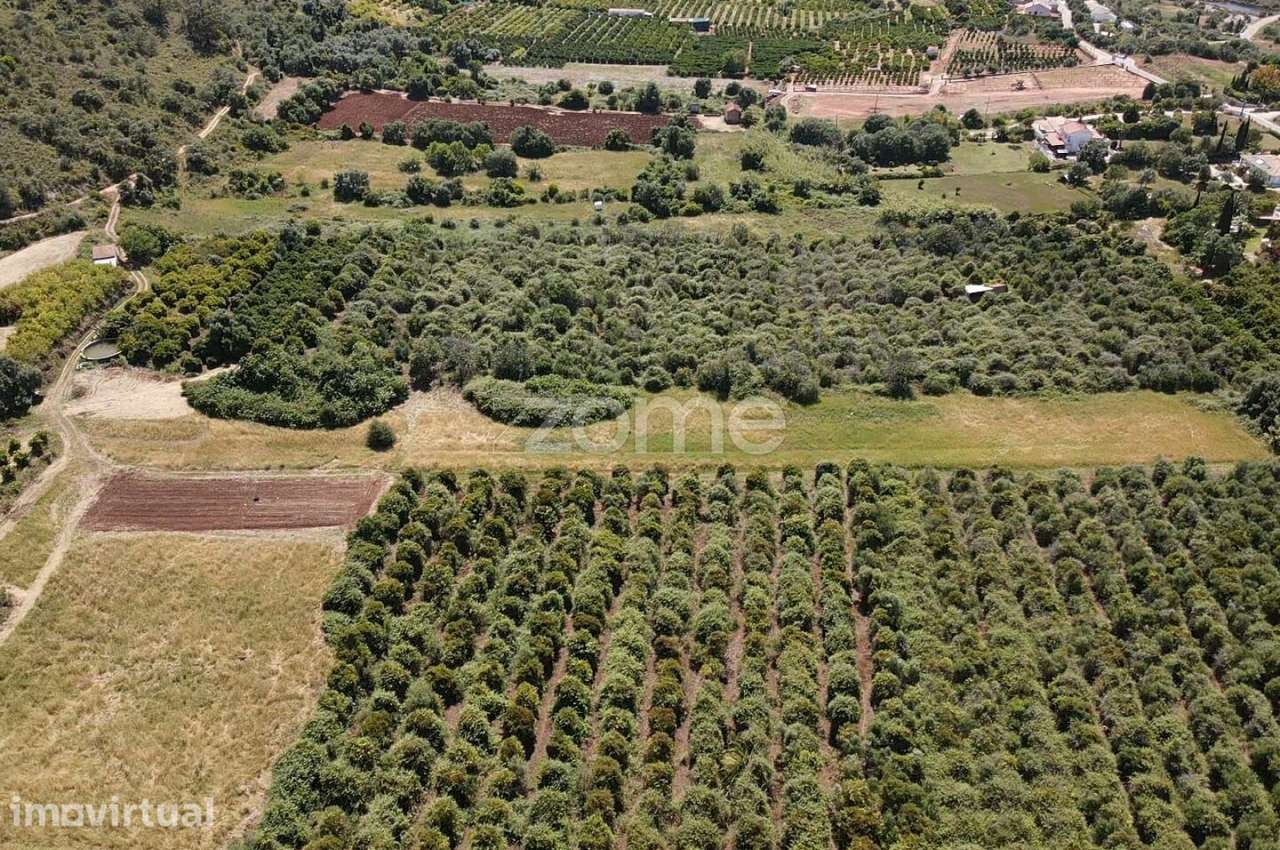 Terreno Rústico em Vilarinho com 2.200m2, Messines - Grande imagem: 2/11
