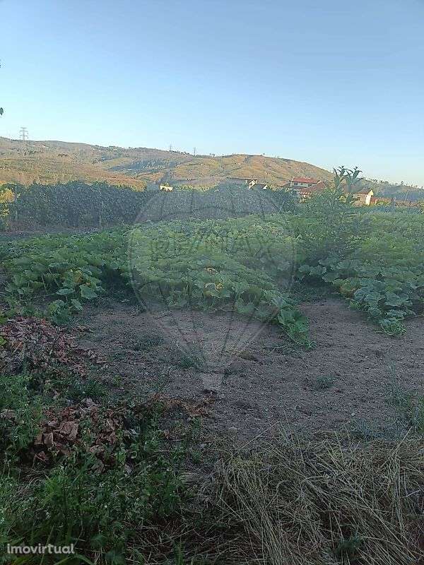 Terreno  para venda - Grande imagem: 5/5