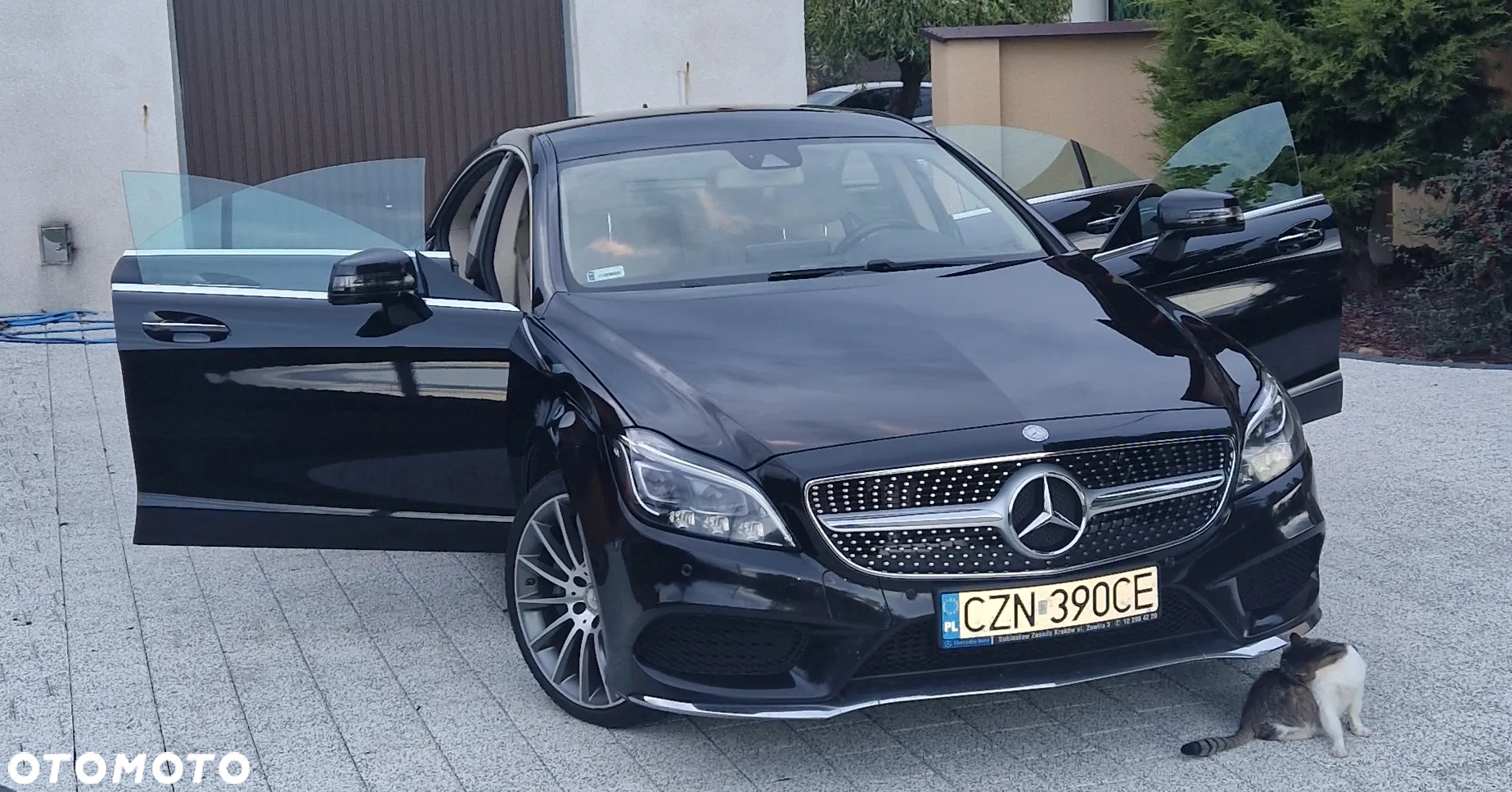 Mercedes-Benz CLS 350 BlueTEC 4-Matic - 2