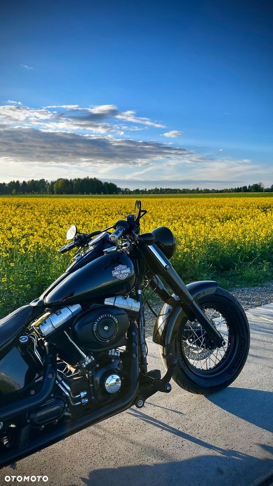 Harley-Davidson Softail Slim - 3