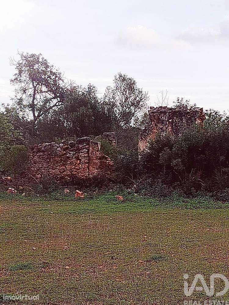 Terreno em Moncarapacho e Fuseta de 3080,00 m2 - Grande imagem: 5/8