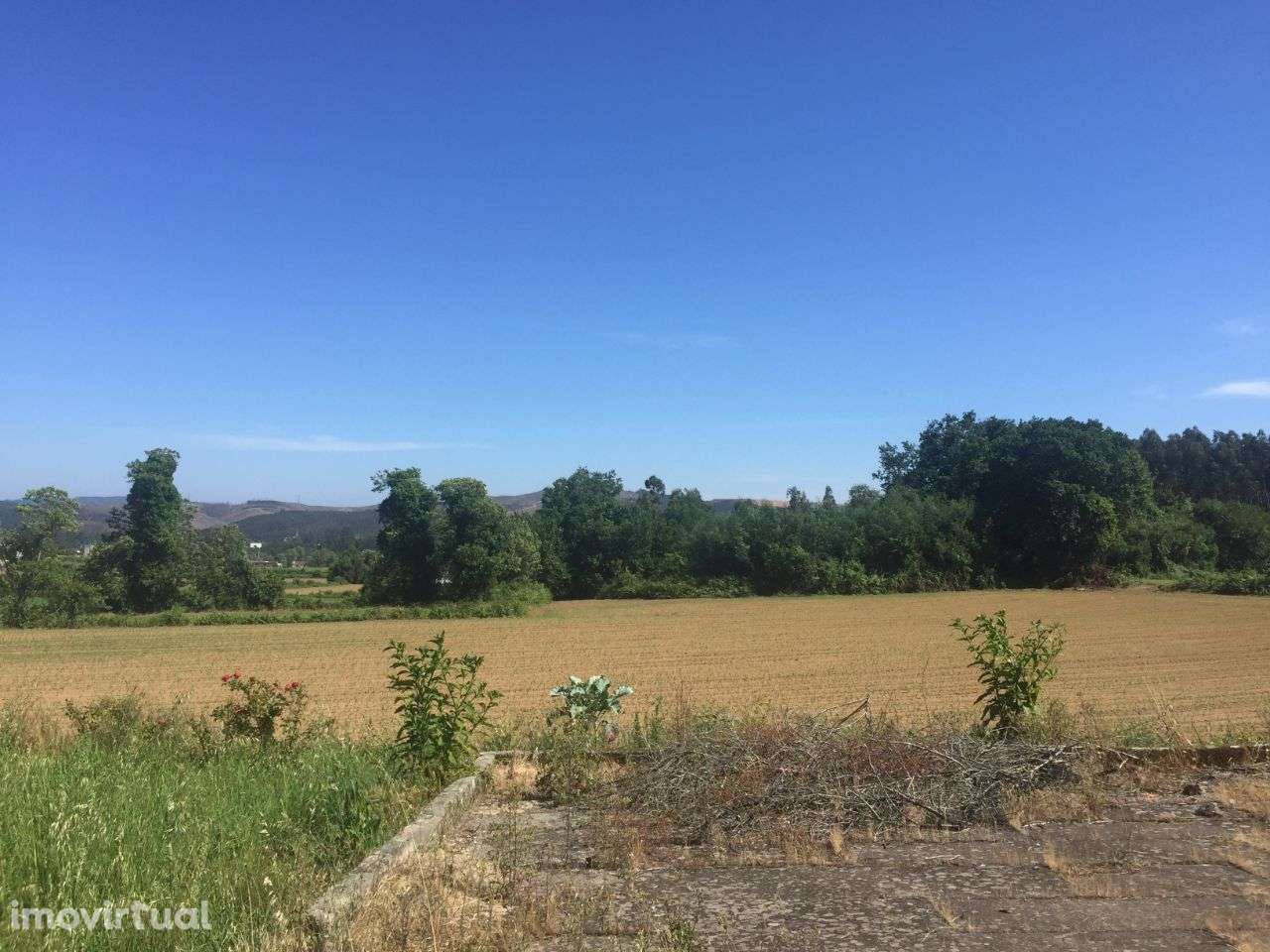 Quinta em Água Longa - Grande imagem: 5/44